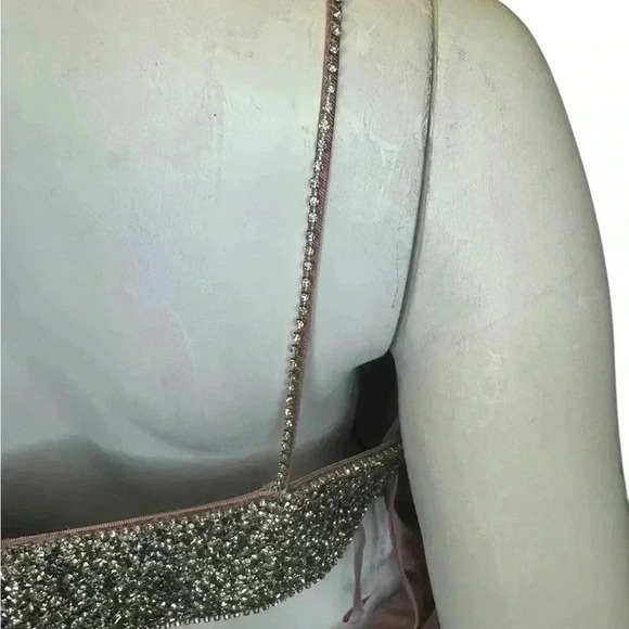 Pink By Alexia Designs Ball Gow Backless Ptom Dress Size 12. - Picture 14 of 15